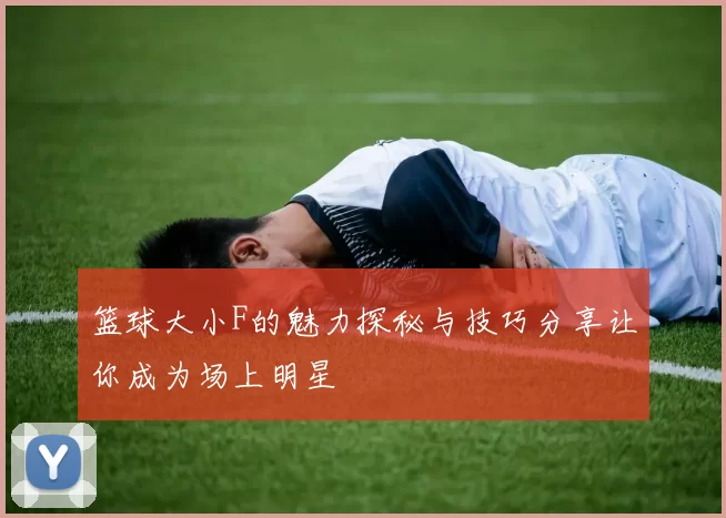 篮球大小F的魅力探秘与技巧分享让你成为场上明星